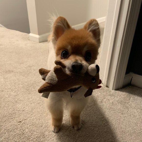 Meet Amanda - Picture 4 of 5